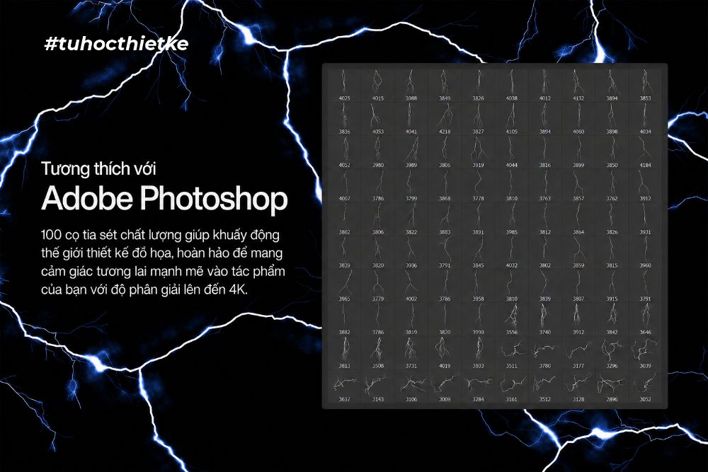Brush Photoshop Miễn Phí
