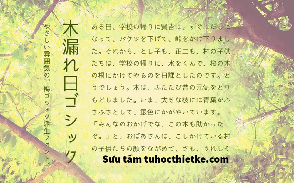 Chia Sẻ Font Chữ